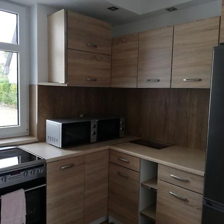 Вилла Pokoje U Iwonki - Barzowice Экстерьер фото